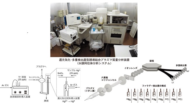 図（クリックで拡大表示）