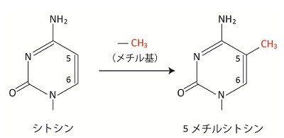 図1