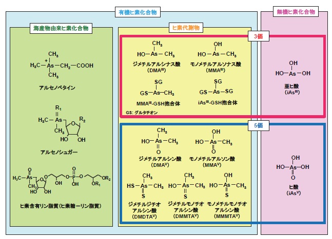 図１（クリックすると拡大表示されます）