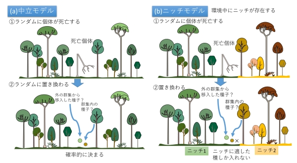 モデルの図