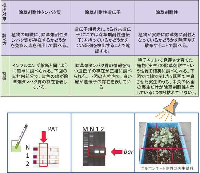 調査方法の図（クリックすると拡大表示できます）