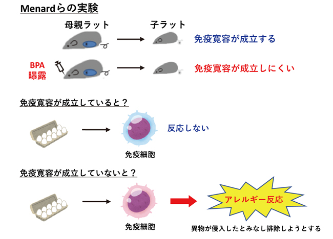 実験の概要図