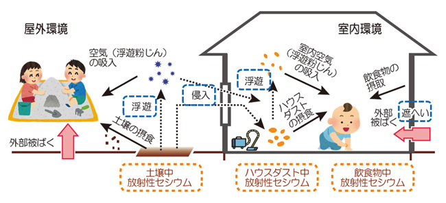 想定される被ばく経路の図