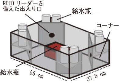 模式図