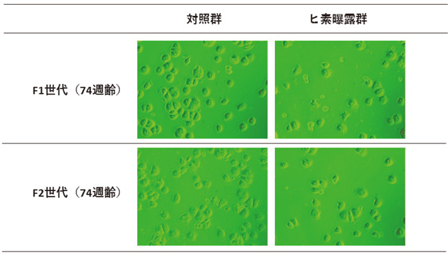 接着能の変化の写真