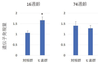 遺伝子発現量変化の図