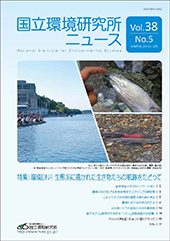 38-5表紙