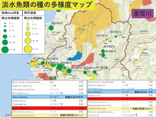 淡水魚類の種の多様性マップ