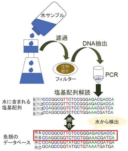 図2　分析の概要の図