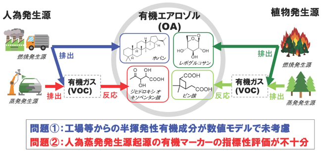 人為発生源や植物発生源、有機マーカーの例の図