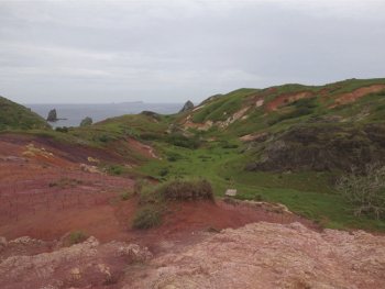 小笠原諸島媒島の図。2012年6月　撮影：吉田勝彦