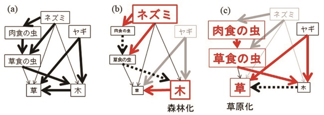 生態系を構成する要素間の相関関係の図