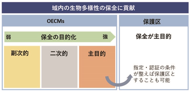 OECMsのタイプと保護区との関係の図