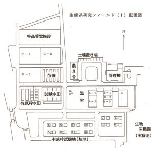 生態系研究フィールド平面図