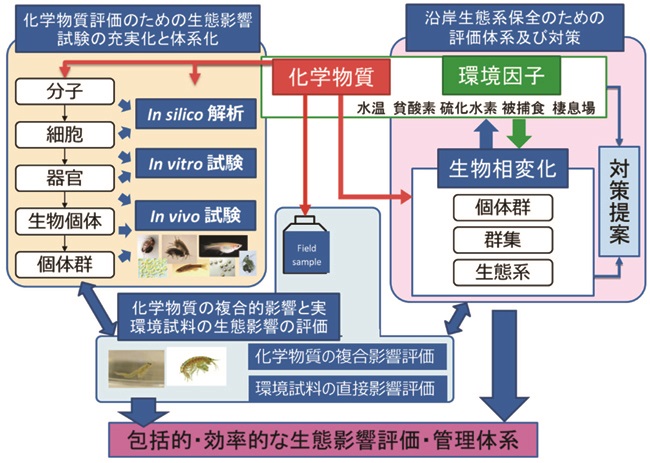 生態影響の包括的・効率的評価体系構築プロジェクトの概要図