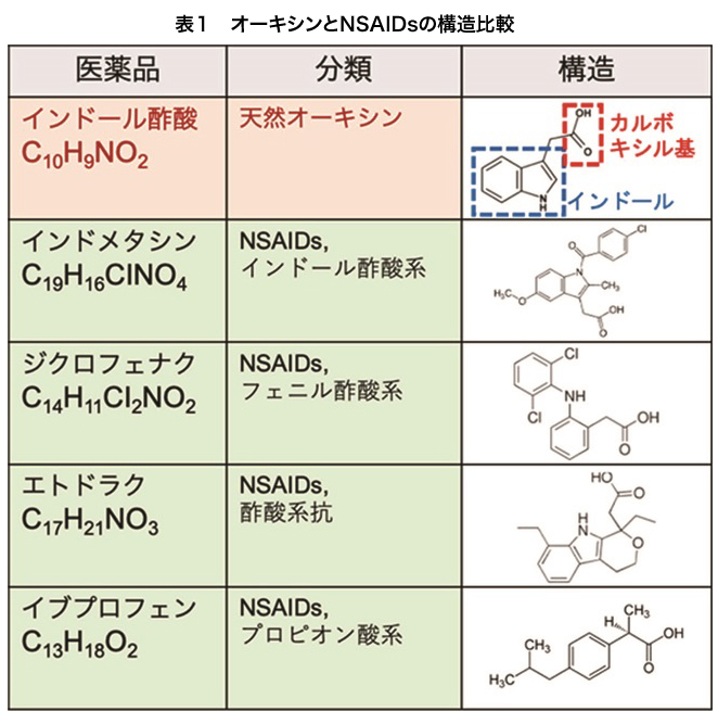 オーキシンとNSAIDsの構造比較の表