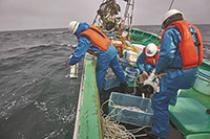 表層水(海面下0.5 m)及び底層水(海底直上1 m)の採水(2020年1月北部海域)の図