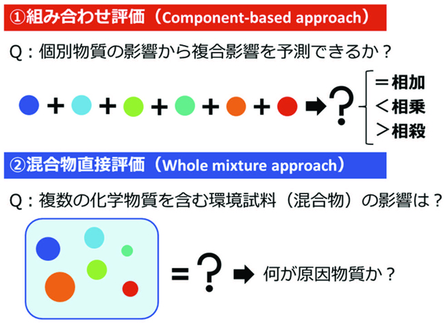 複合影響評価の2つのアプローチの図