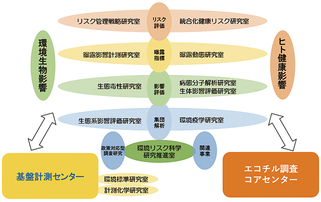 第5期中長期計画での環境リスク・健康領域の体制の図