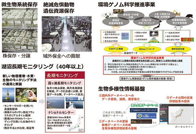 生物多様性領域の知的研究基盤整備の図