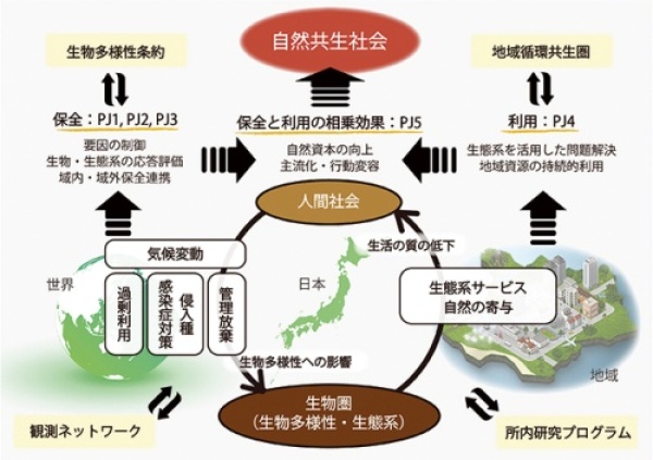 自然共生研究プログラムの構成の図