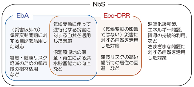 NbS(自然を活用した解決策)、EbA(生態系を活かした気候変動適応)、Eco-DRR(生態系を活かした防災・減災)の概念の相互関係図