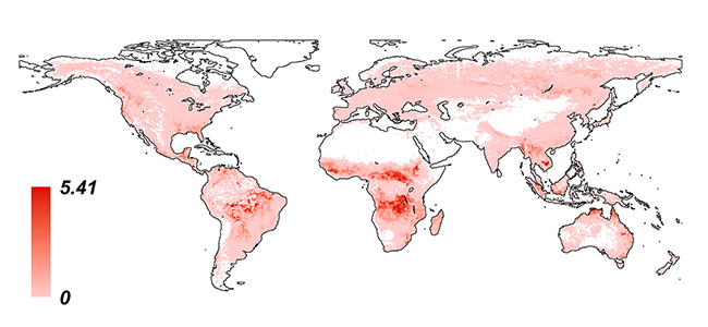 バイオマス燃焼によるCO2放出量の世界図