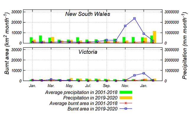 ニューサウスウェールズ州とビクトリア州の月毎の森林火災面積と降水量の図