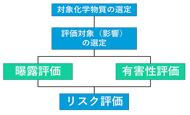 リスク評価の概要の図