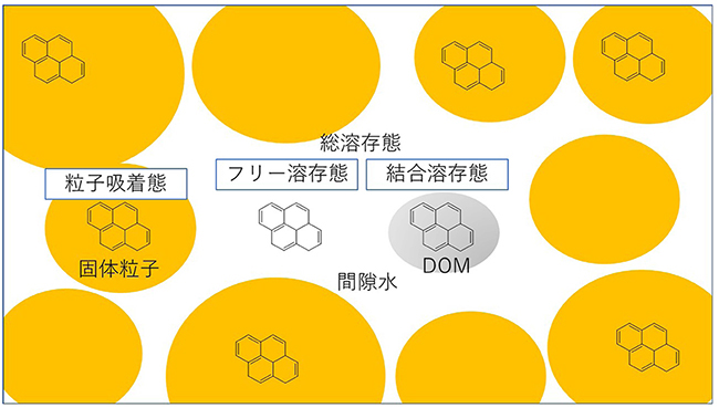 底質粒子と間隙水の拡大模式図