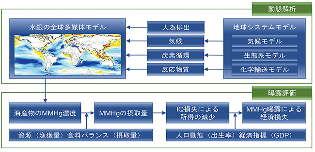 水銀条約の有効性評価に向けたモデル開発の概要図