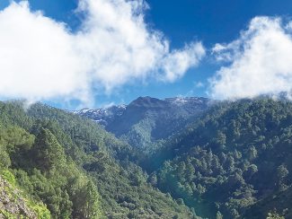 ラ・パルマ島の山岳地帯の写真