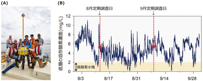 図1（A）霞ヶ浦に設置している観測ブイシステムの一部。（B）高頻度自動観測データの一例。