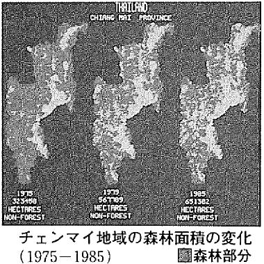 チェンマイ地域の森林面積の変化(1975-1985)