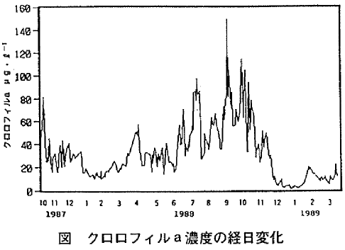 図 クロロフィルa濃度の経日変化