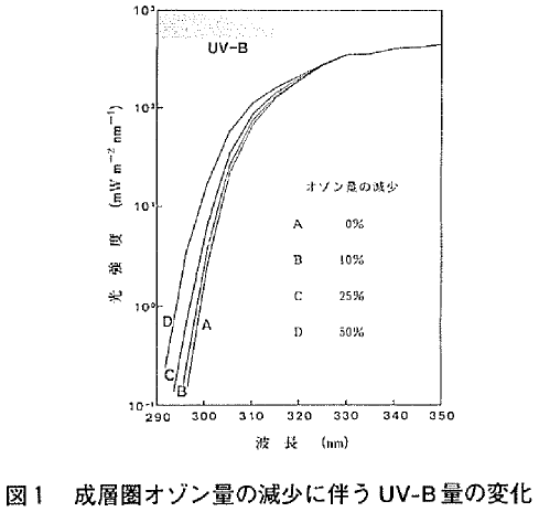 図１  成層圏オゾン量の減少に伴うＵＶ−Ｂ量の変化