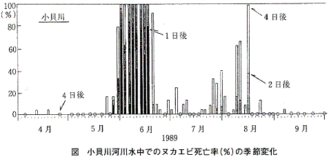 図  小貝川河川水中でのヌカエビ死亡率（％）の季節変化