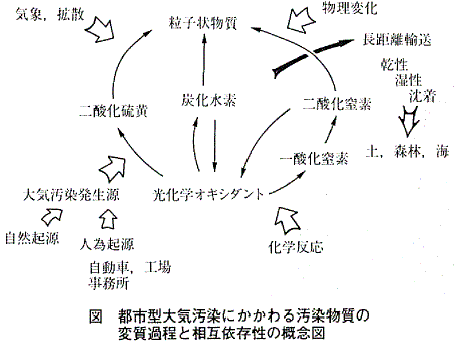 図  都市型大気汚染にかかわる汚染物質の変質過程と相互依存性の概念図