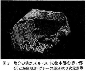 図2 塩分の値が34.0〜34.1の海水領域(赤い部分)と海底地形(グレーの部分)の3次元表示