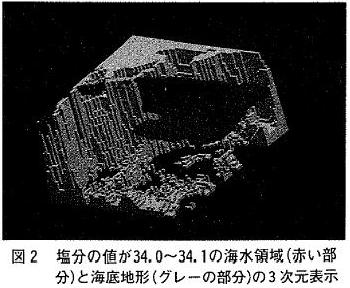 図２  塩分の値が34.0〜34.1の海水領域（赤い部分）と海底地形（グレーの部分）の３次元表示