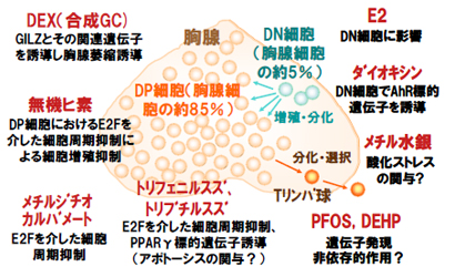 図1