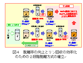 図４　脱離率の向上とリン回収の効率化のための２段階離脱方式の確立