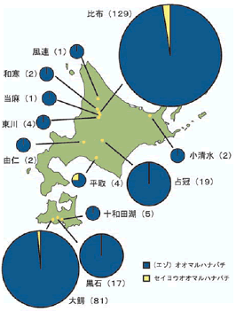 図３