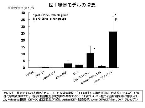 図１　喘息モデルの憎悪