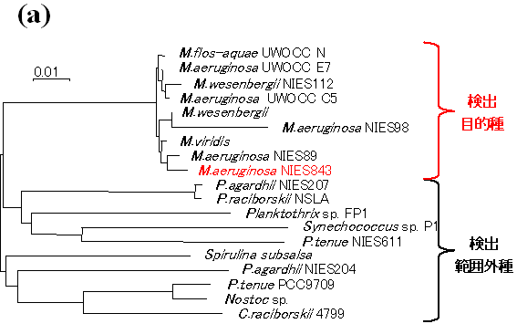 図7 (a)