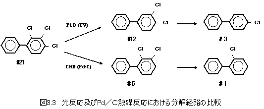 図3.3 光反応及びPd/C触媒反応における分解経路の比較