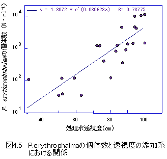 図4.5 P.erythrophalmaの個体数密度の変化