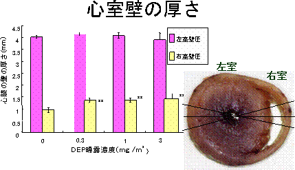 図