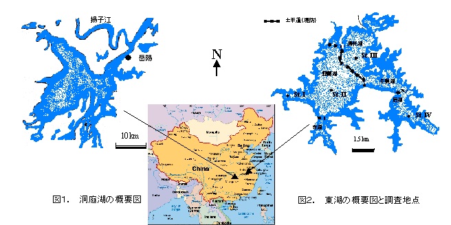 図１　洞庭湖の概要図、図２  東湖の概要図と調査地点