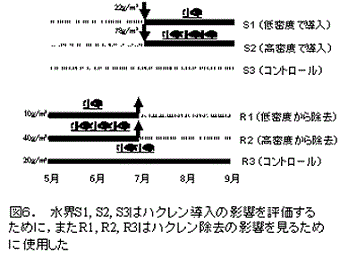 図６  水界S1，S2，S3はハクレン導入の影響を評価するために，またR1，R2，R3，はハクレン除去の影響を見るために使用した